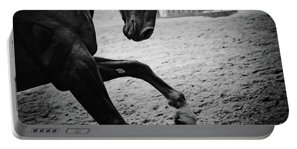 Horse Portable Battery Charger featuring the photograph Black stallion - Poster by Dimitar Hristov