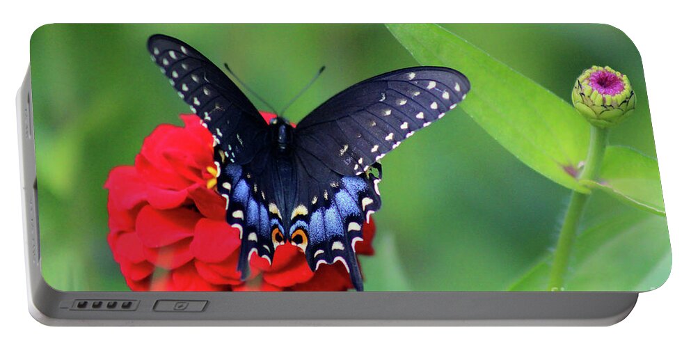 Butterfly Portable Battery Charger featuring the photograph Black Swallowtail Butterfly on Red Zinnia by Karen Adams