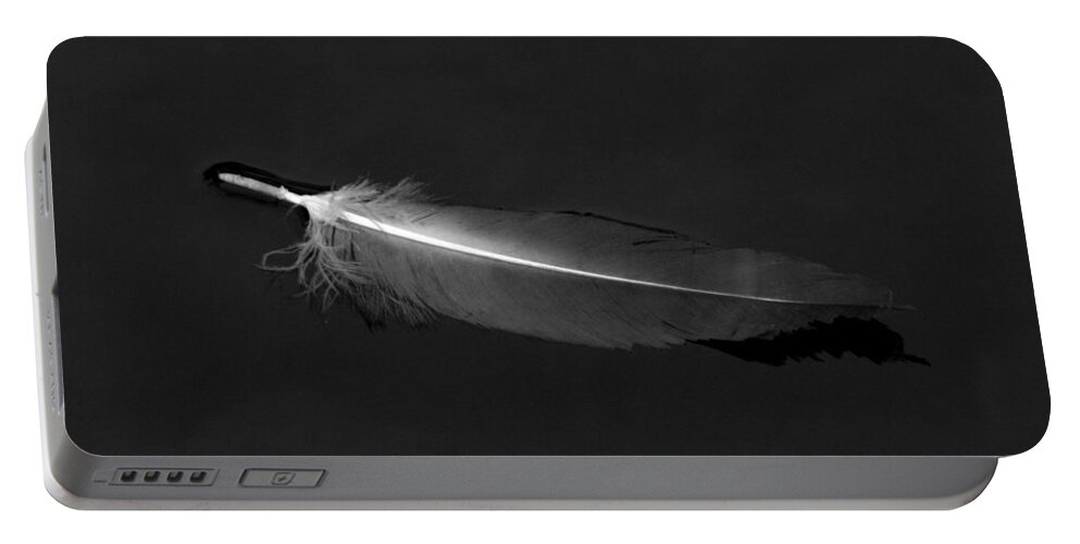 Feather Portable Battery Charger featuring the photograph Black Vulture's Feather Floating on Water by John Harmon