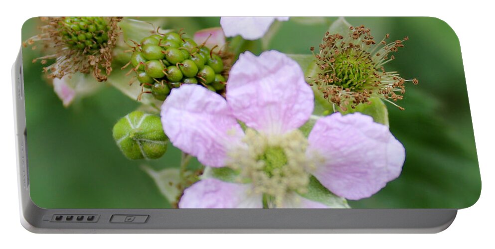 Beauty Portable Battery Charger featuring the photograph Blackberry flowers,close-up by Robert Edmanson-Harrison