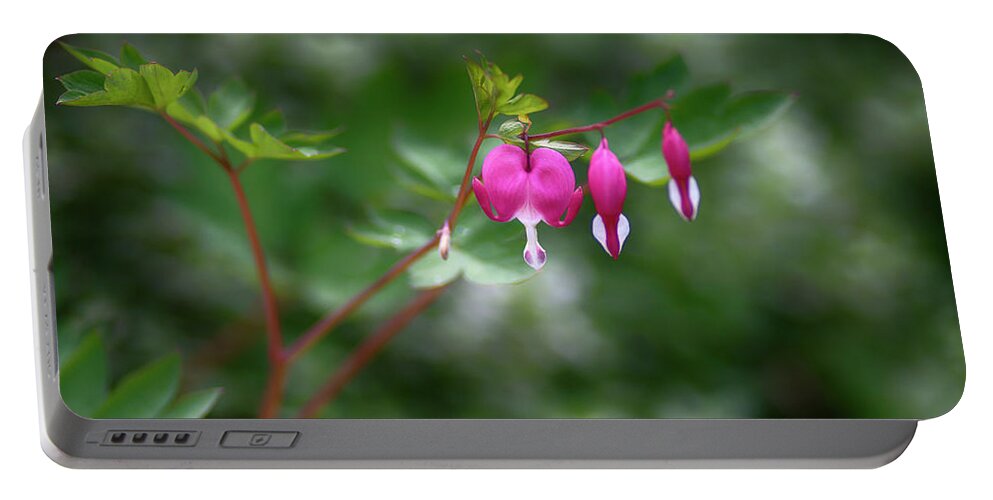  Portable Battery Charger featuring the photograph Bleeding Hearts by Dan Hefle