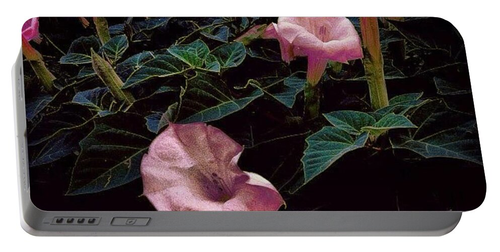 Organicart Portable Battery Charger featuring the photograph Bloomin' Pinks by Nick Heap