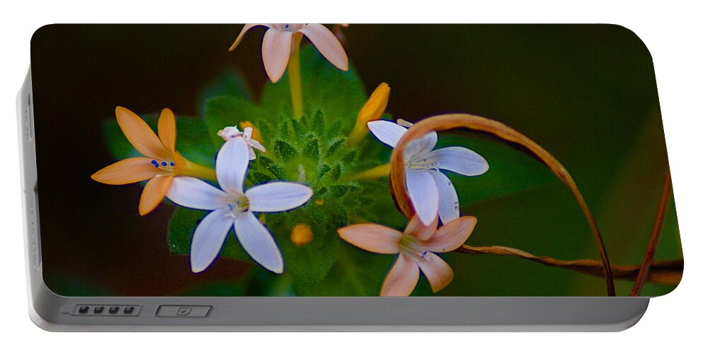 Nature Portable Battery Charger featuring the photograph Blooming Joy by Ben Upham III
