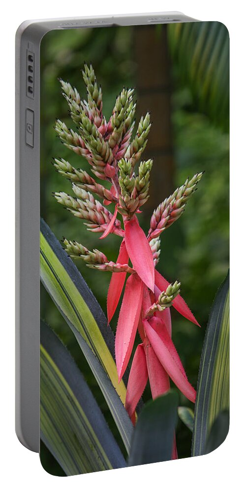 Flower Portable Battery Charger featuring the photograph Blooming by Roberta Byram