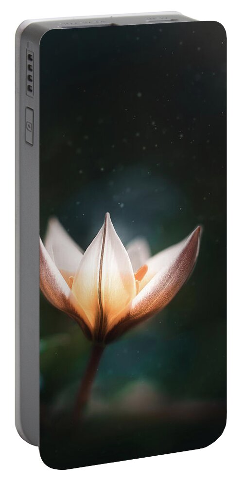 Flower Portable Battery Charger featuring the photograph Blossoming Light by Scott Norris