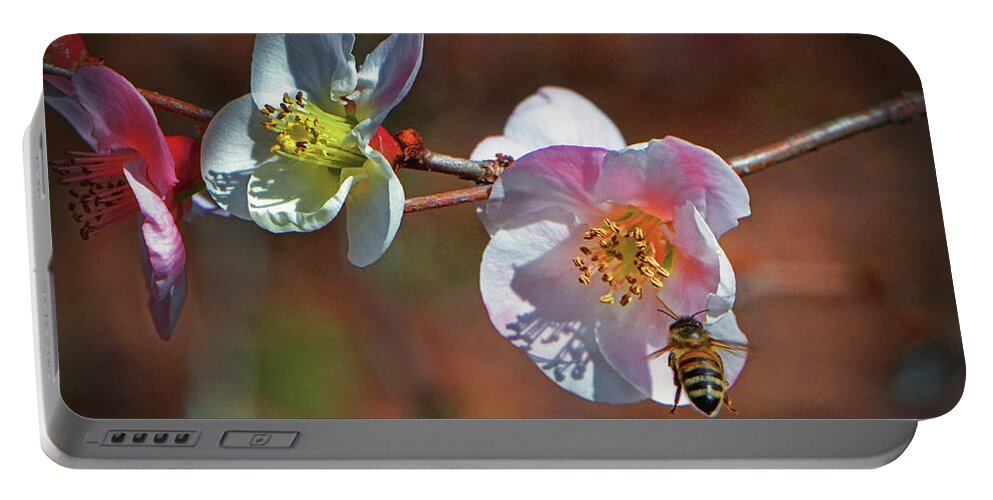 Bee Portable Battery Charger featuring the photograph Blossoming Quince - Breakfast At The Gardens 002 by George Bostian