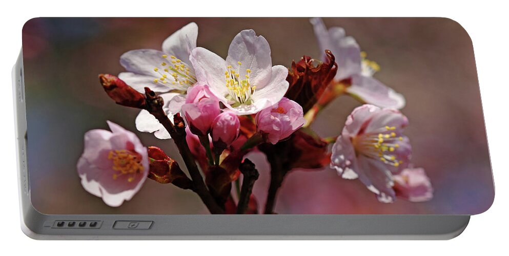 Cherry Blossoms Portable Battery Charger featuring the photograph Blossoms Bouquet by Debbie Oppermann