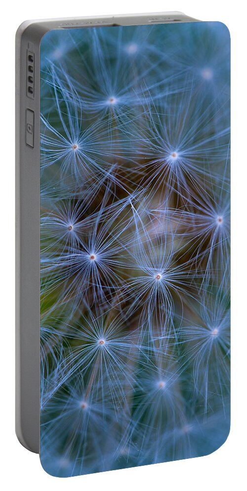 Dandelion Portable Battery Charger featuring the photograph Just Blow and make a wish by Jaroslaw Blaminsky