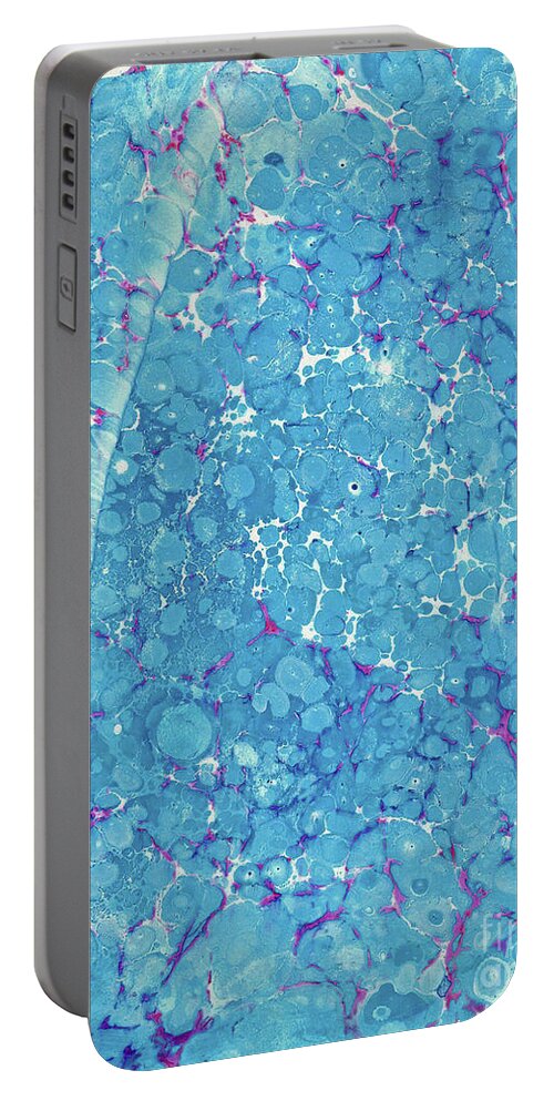Water Marbling Portable Battery Charger featuring the painting Blue Battal #7 by Daniela Easter