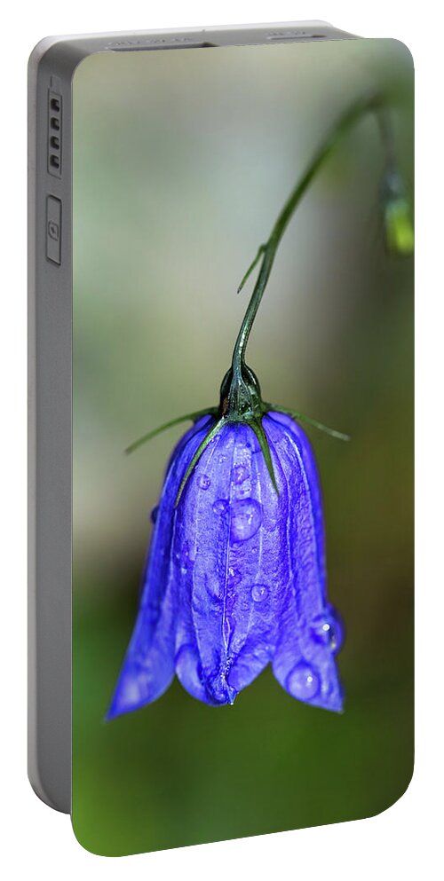 Bell Portable Battery Charger featuring the photograph Blue Bell by Nailia Schwarz