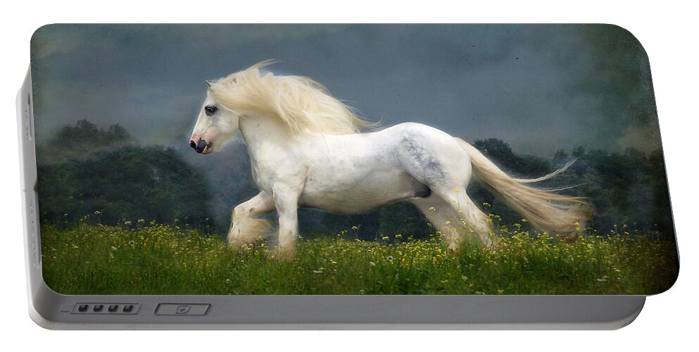 Horses Portable Battery Charger featuring the photograph Blue Billy C1 by Fran J Scott
