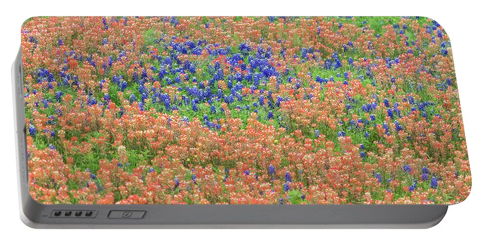 Texas Portable Battery Charger featuring the photograph Blue bonnets and Indian paintbrush-Texas wildflowers by Usha Peddamatham