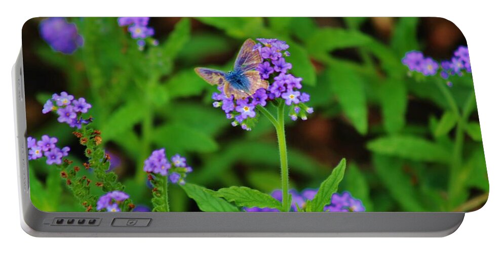 Blue Butterfly Portable Battery Charger featuring the photograph Blue Butterfly by Craig Wood