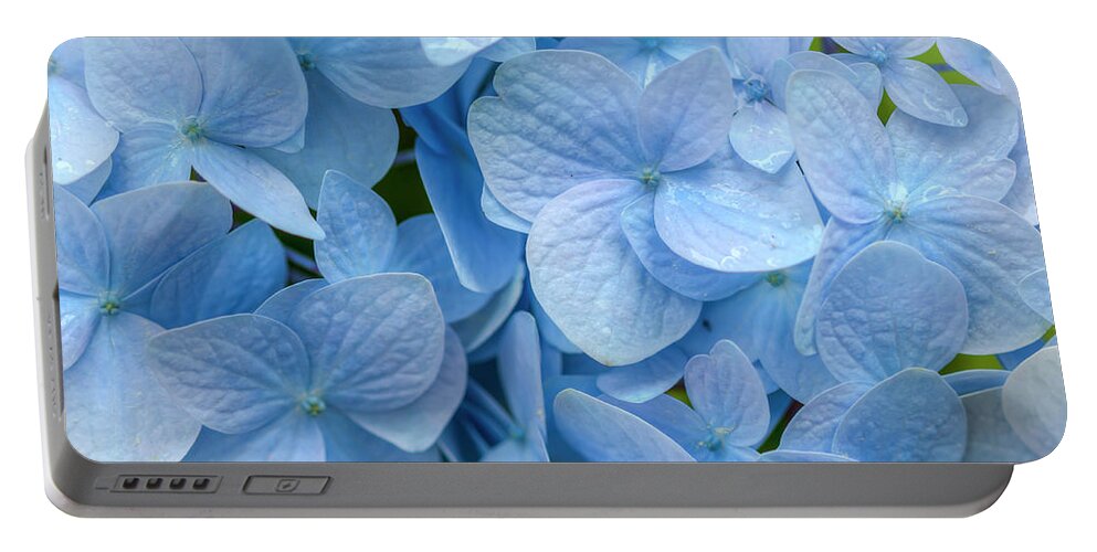 Hydrangea Portable Battery Charger featuring the photograph Blue Cluster by Kristina Rinell