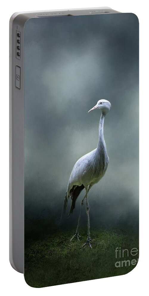 Blue Crane Portable Battery Charger featuring the photograph Paradise Crane by Eva Lechner