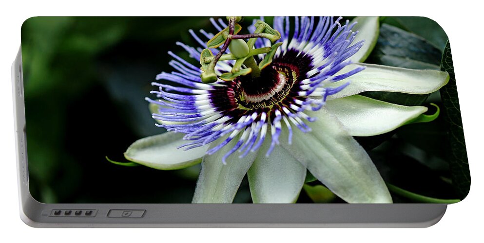 Passiflora Portable Battery Charger featuring the photograph Blue Crown Passion Flower by Debbie Oppermann