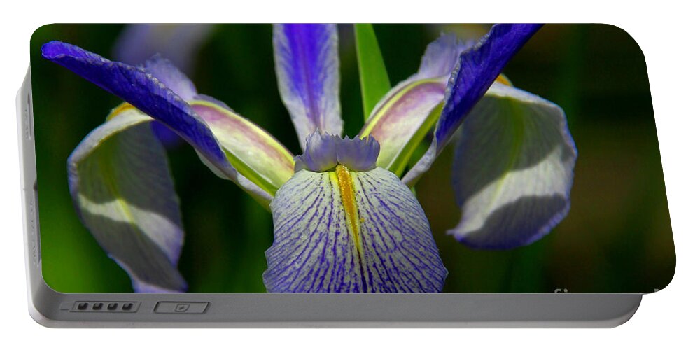 Blue Flag Iris Portable Battery Charger featuring the photograph Blue Flag Iris by Barbara Bowen