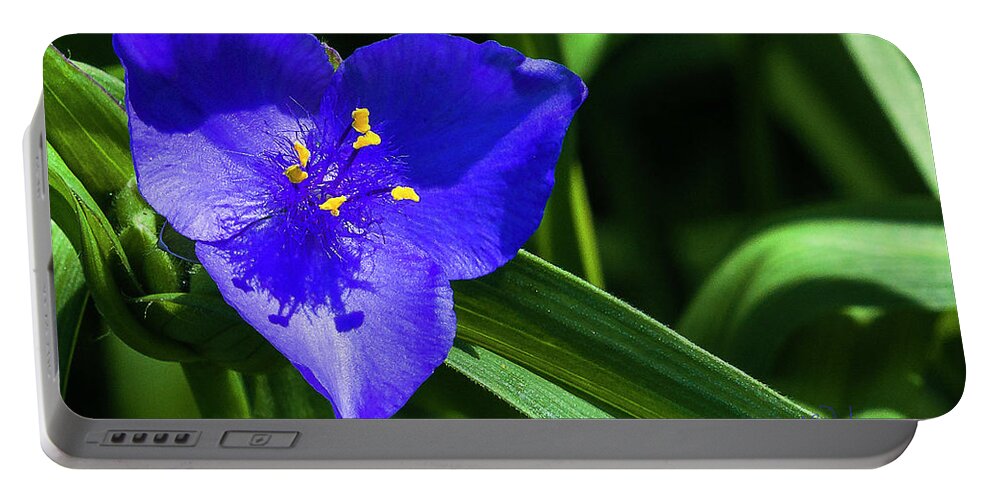 Heron Heaven Portable Battery Charger featuring the photograph Blue Flower of Summer by Ed Peterson
