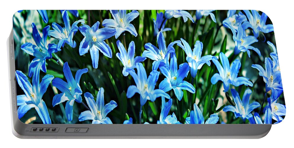 Blue Glory Snow Flowers Portable Battery Charger featuring the photograph Blue Glory Snow Flowers by Judy Palkimas