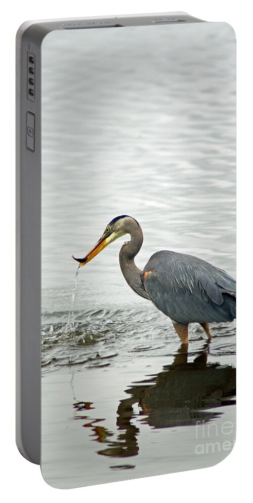 Blue Portable Battery Charger featuring the photograph Blue Heron Fishing by Louise Magno