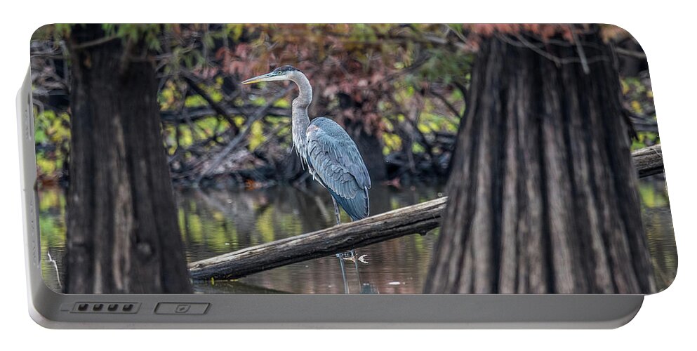 Wildlife Portable Battery Charger featuring the photograph Blue Heron in cypress swamp by Paul Freidlund