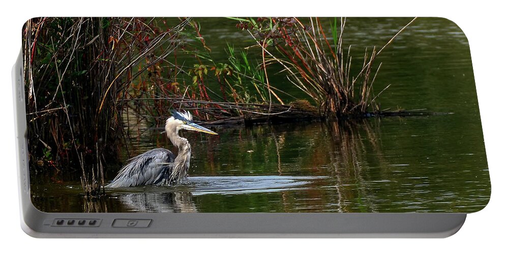 Ardea Herodias Portable Battery Charger featuring the photograph Blue Heron Pond by Patrick Wolf