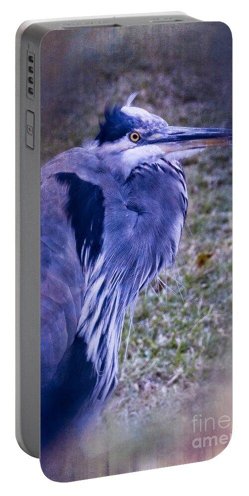 Bird Portable Battery Charger featuring the photograph Blue Heron Portrait by Ella Kaye Dickey