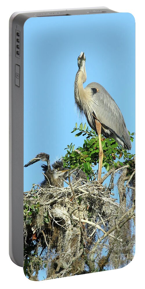Heron Portable Battery Charger featuring the photograph Blue Heron Series Baby 2 by Deborah Benoit