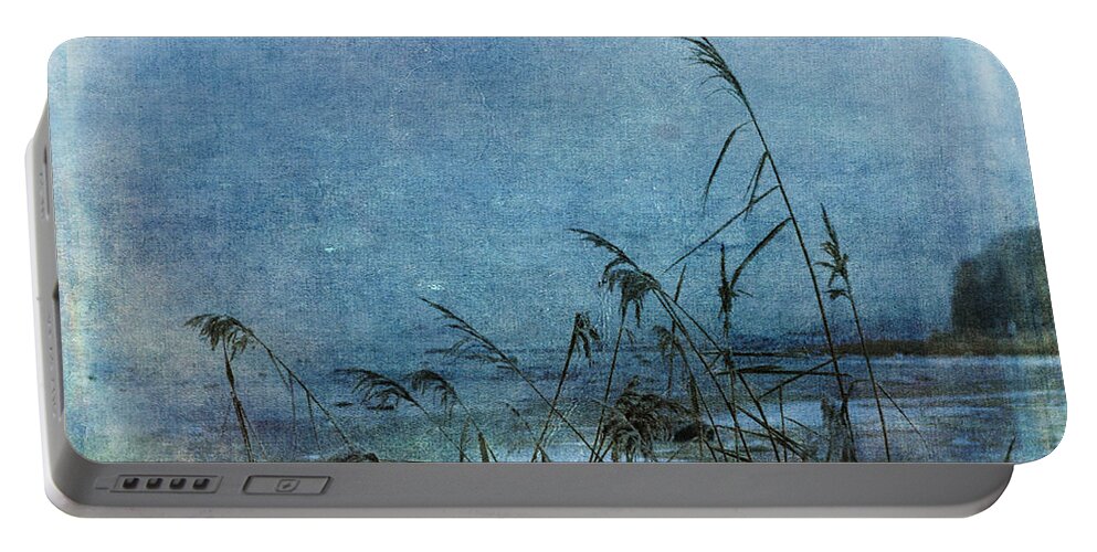 Blue Portable Battery Charger featuring the photograph Blue Hour by Randi Grace Nilsberg