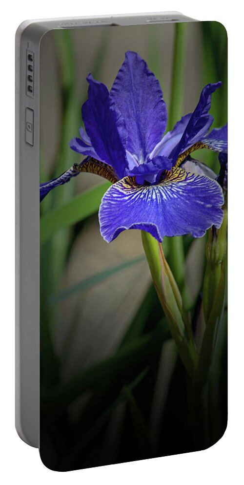 Florals Portable Battery Charger featuring the photograph Blue Iris by Tikvah's Hope