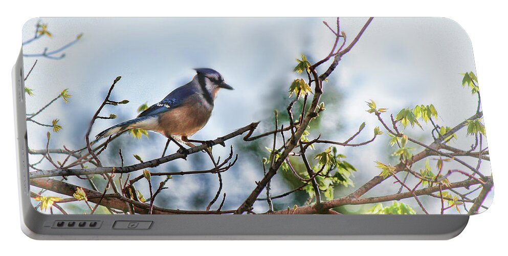 Blue Jay Portable Battery Charger featuring the digital art Blue Jay by Bonnie Willis