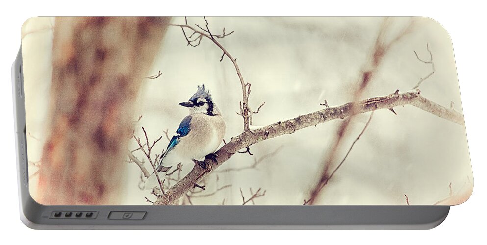 Blue Jay Portable Battery Charger featuring the photograph Blue Jay Winter by Karol Livote
