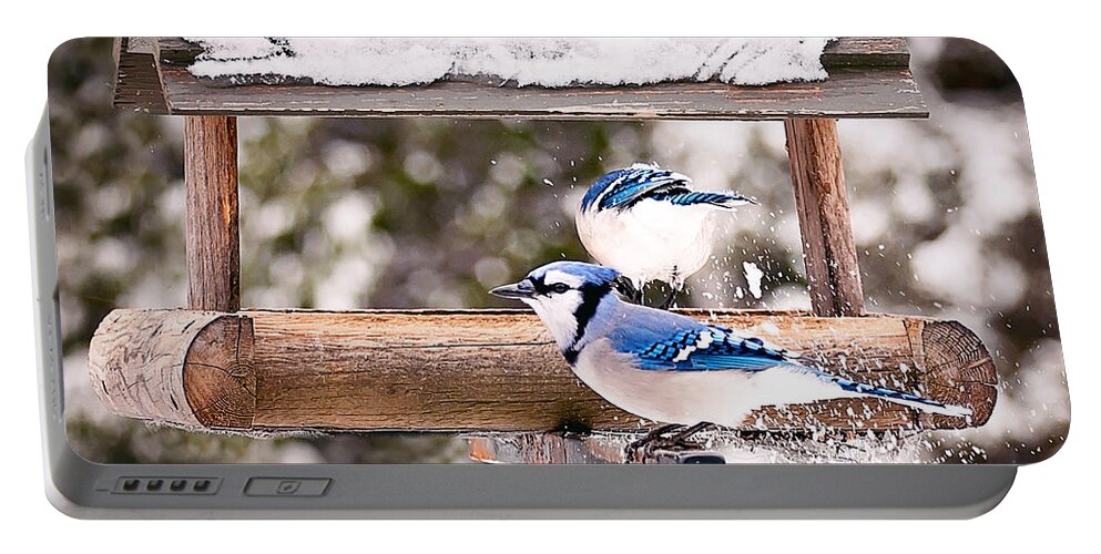 Blue Jays Portable Battery Charger featuring the photograph Blue Jays in Winter by Gwen Gibson