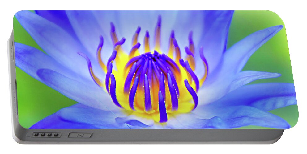 Lotus Portable Battery Charger featuring the photograph Blue Magic by Iryna Goodall