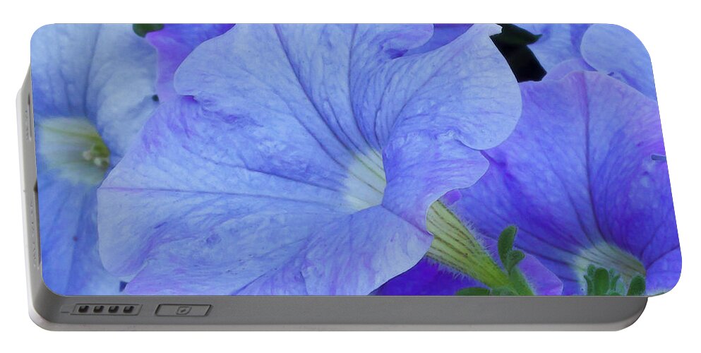 Blue Portable Battery Charger featuring the photograph Blue Petunia Blossom by Sandra Foster