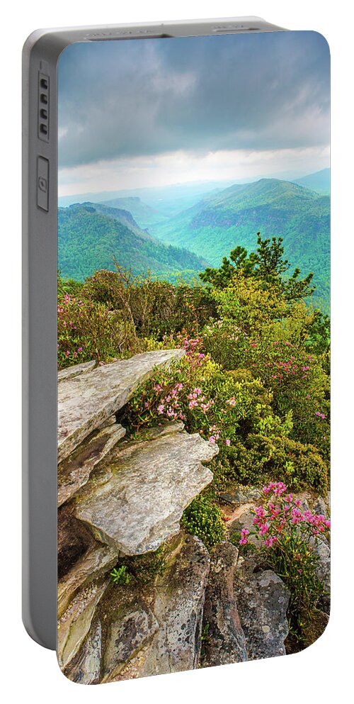 Blooms Portable Battery Charger featuring the photograph Blue Ridge Mountains NC Hawksbill Spring by Robert Stephens