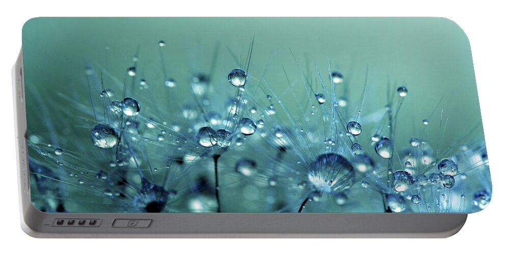 Dandelion Portable Battery Charger featuring the photograph Blue Shower by Sharon Johnstone
