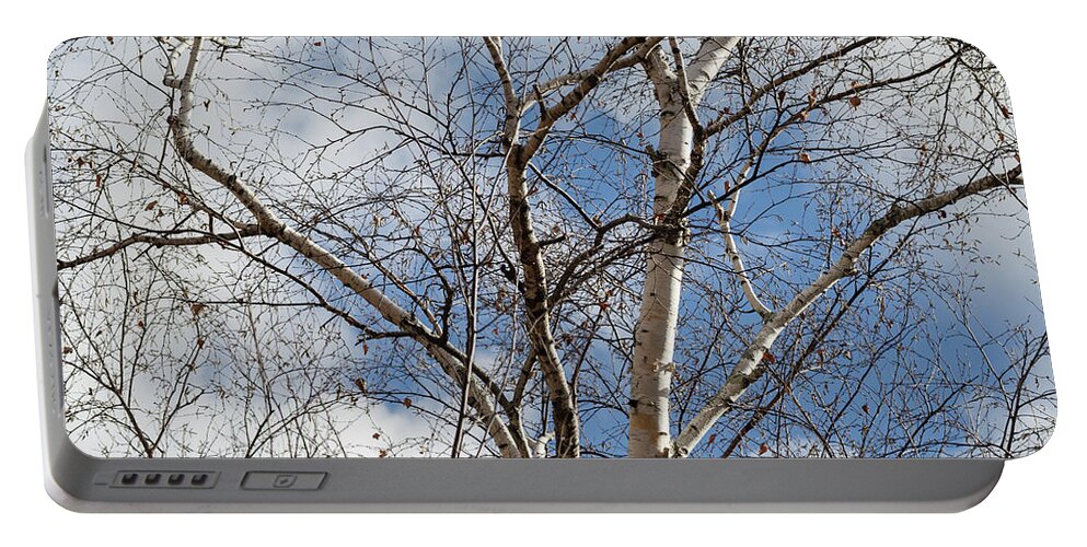 Birch Trees Portable Battery Charger featuring the photograph Blue Sky in the Middle - by Julie Weber