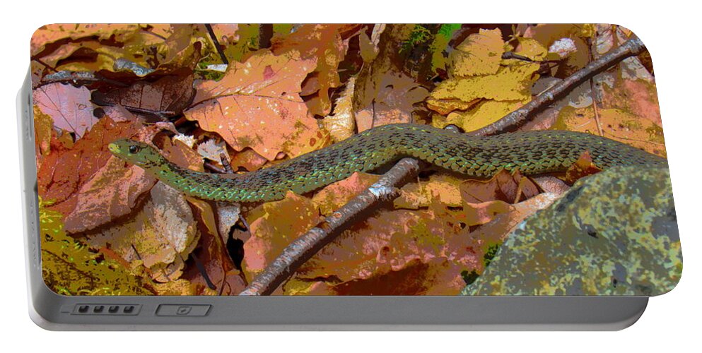 Blue Spotted Snake Blue Spotted Garter Snake Blue Speckled Garter Snake Appalachian Reptiles Appalachian Snake Species Appalachian Biodiversity Portable Battery Charger featuring the photograph Blue Speckled Garter by Joshua Bales