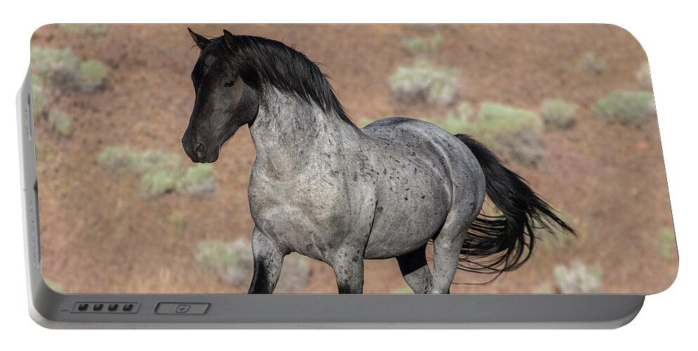 Wild Horse Portable Battery Charger featuring the photograph Blue surprise by John T Humphrey