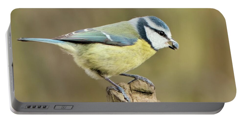  Portable Battery Charger featuring the photograph Blue Tit by Baggieoldboy