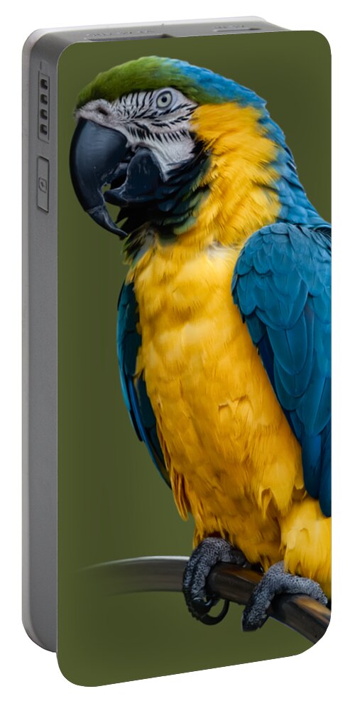 Green Portable Battery Charger featuring the photograph Blue Yellow Macaw No.1 by Mark Myhaver