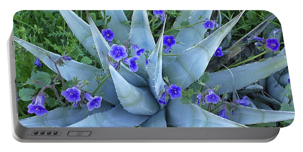 00176660 Portable Battery Charger featuring the photograph Bluebell And Agave by Tim Fitzharris
