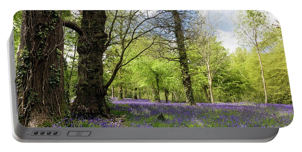Bluebell Portable Battery Charger featuring the photograph Bluebell Season by Terri Waters
