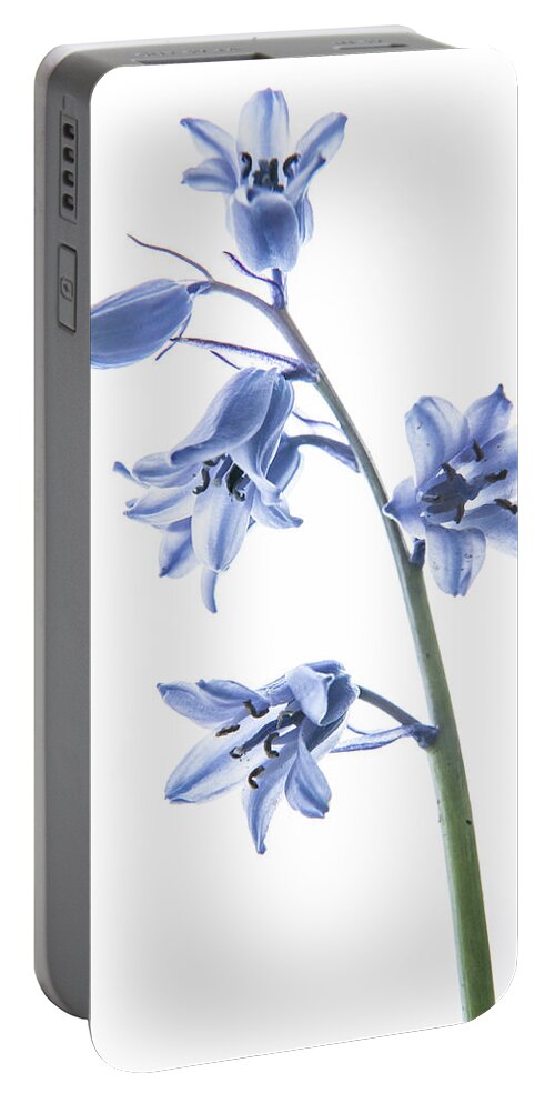 Bluebell Portable Battery Charger featuring the photograph Bluebell Stem by Helen Jackson