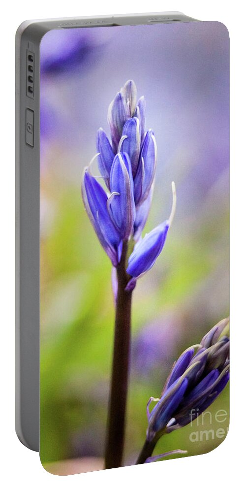 Mtphotography Portable Battery Charger featuring the photograph Bluebells by Mariusz Talarek