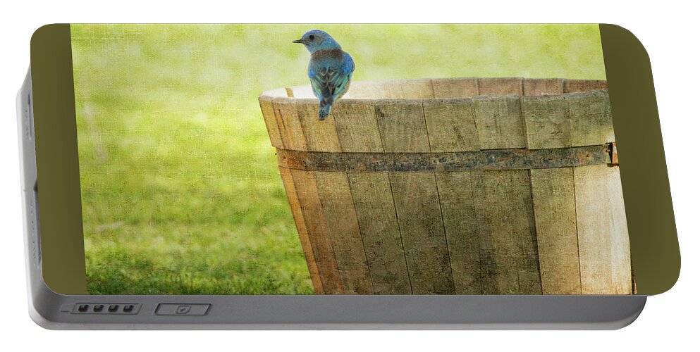 Western Bluebird Portable Battery Charger featuring the photograph Bluebird Resting on Bucket, Textured by Susan Gary