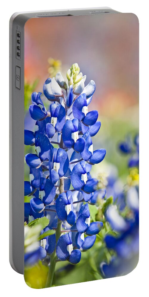 Blue Portable Battery Charger featuring the photograph Bluebonnet 1 by Olivier Steiner
