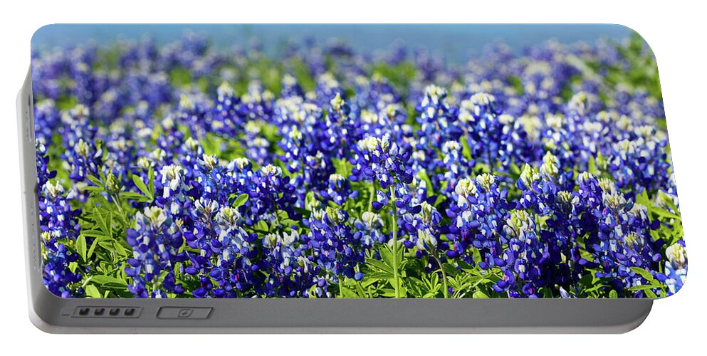 Austin Portable Battery Charger featuring the photograph Bluebonnets by Raul Rodriguez