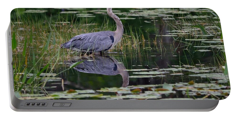 Great Blue Heron Portable Battery Charger featuring the photograph Blue's Image- Great Blue Heron by David Porteus